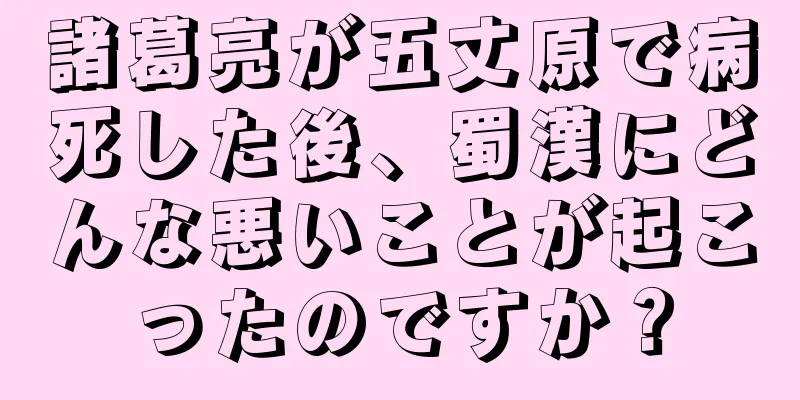 諸葛亮が五丈原で病死した後、蜀漢にどんな悪いことが起こったのですか？