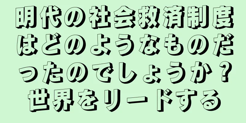 明代の社会救済制度はどのようなものだったのでしょうか？世界をリードする
