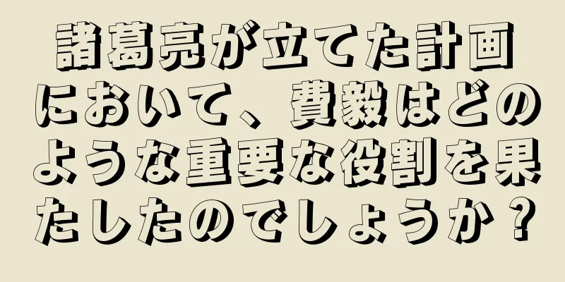 諸葛亮が立てた計画において、費毅はどのような重要な役割を果たしたのでしょうか？