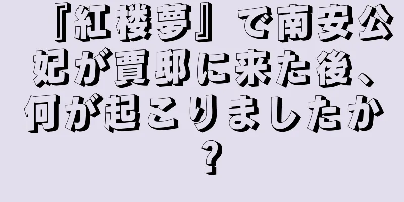 『紅楼夢』で南安公妃が賈邸に来た後、何が起こりましたか？