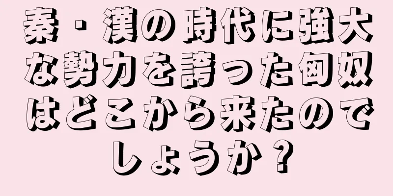 秦・漢の時代に強大な勢力を誇った匈奴はどこから来たのでしょうか？