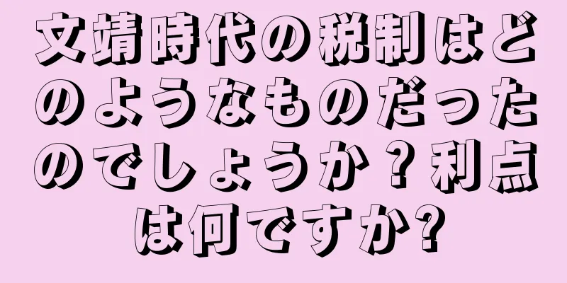 文靖時代の税制はどのようなものだったのでしょうか？利点は何ですか?