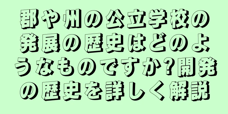 郡や州の公立学校の発展の歴史はどのようなものですか?開発の歴史を詳しく解説