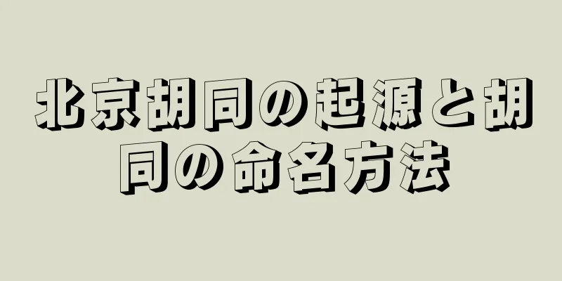 北京胡同の起源と胡同の命名方法