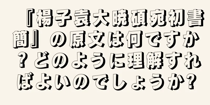 『楊子袁大暁碩宛初書簡』の原文は何ですか？どのように理解すればよいのでしょうか?
