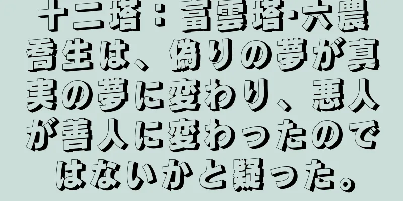 十二塔：富雲塔·六農喬生は、偽りの夢が真実の夢に変わり、悪人が善人に変わったのではないかと疑った。