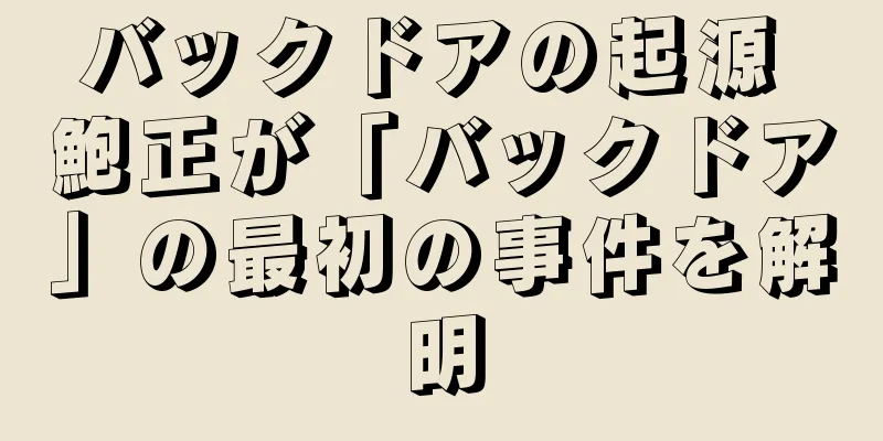 バックドアの起源 鮑正が「バックドア」の最初の事件を解明