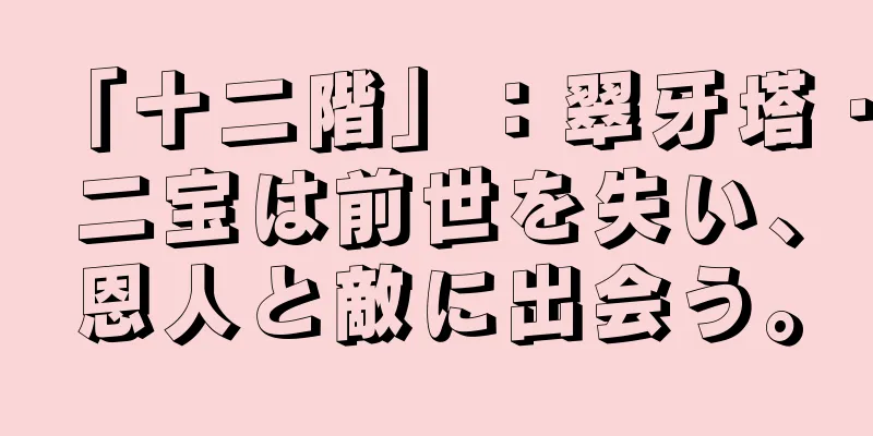 「十二階」：翠牙塔・二宝は前世を失い、恩人と敵に出会う。