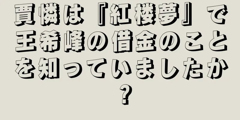 賈憐は『紅楼夢』で王希峰の借金のことを知っていましたか？