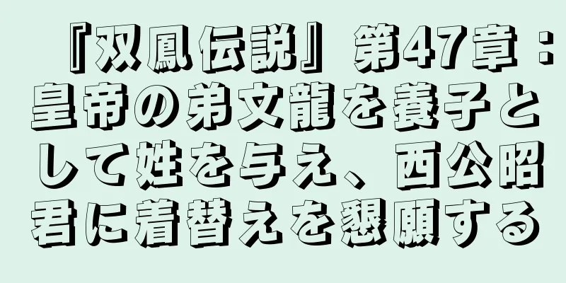 『双鳳伝説』第47章：皇帝の弟文龍を養子として姓を与え、西公昭君に着替えを懇願する