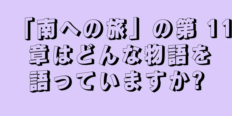 「南への旅」の第 11 章はどんな物語を語っていますか?