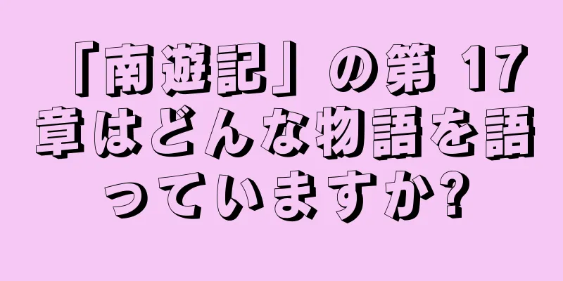 「南遊記」の第 17 章はどんな物語を語っていますか?