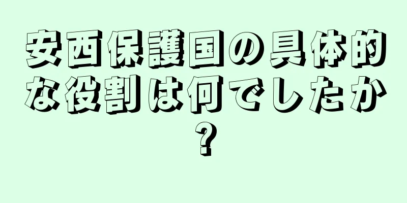 安西保護国の具体的な役割は何でしたか?
