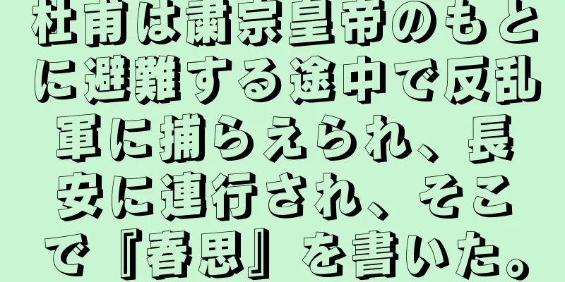 杜甫は粛宗皇帝のもとに避難する途中で反乱軍に捕らえられ、長安に連行され、そこで『春思』を書いた。