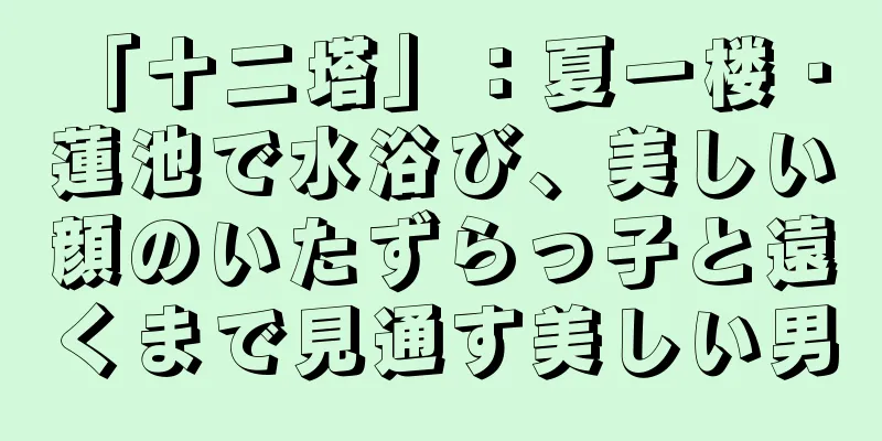 「十二塔」：夏一楼 · 蓮池で水浴び、美しい顔のいたずらっ子と遠くまで見通す美しい男