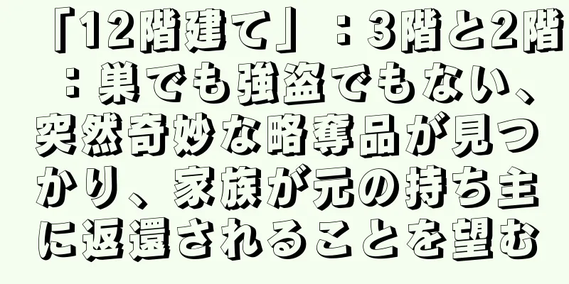 「12階建て」：3階と2階：巣でも強盗でもない、突然奇妙な略奪品が見つかり、家族が元の持ち主に返還されることを望む