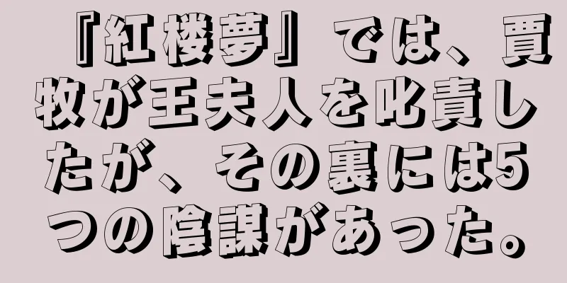 『紅楼夢』では、賈牧が王夫人を叱責したが、その裏には5つの陰謀があった。