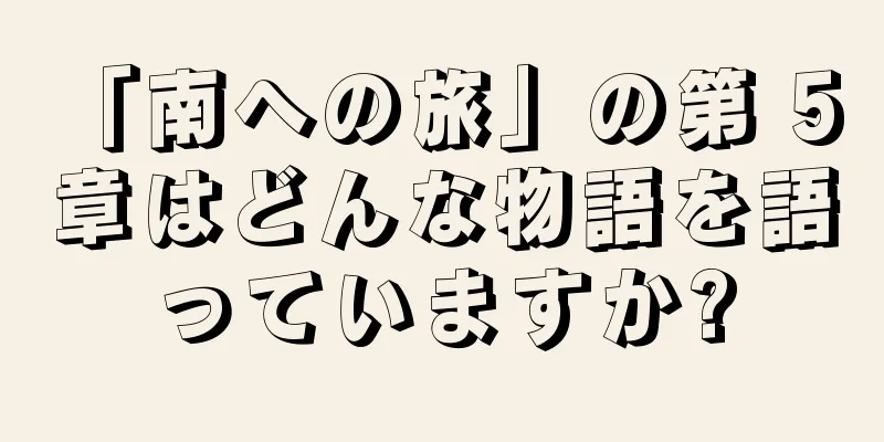 「南への旅」の第 5 章はどんな物語を語っていますか?