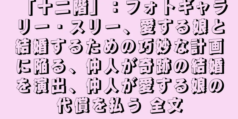 「十二階」：フォトギャラリー · スリー、愛する娘と結婚するための巧妙な計画に陥る、仲人が奇跡の結婚を演出、仲人が愛する娘の代償を払う 全文
