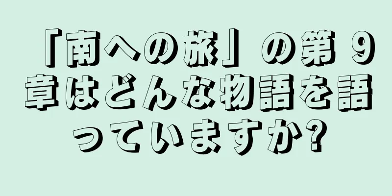「南への旅」の第 9 章はどんな物語を語っていますか?