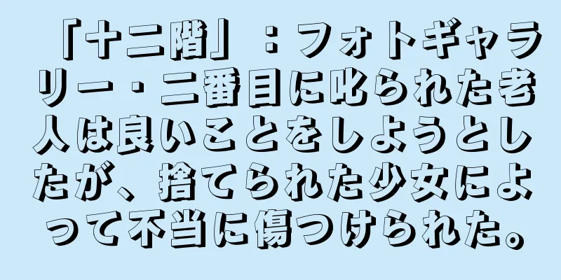 「十二階」：フォトギャラリー · 二番目に叱られた老人は良いことをしようとしたが、捨てられた少女によって不当に傷つけられた。
