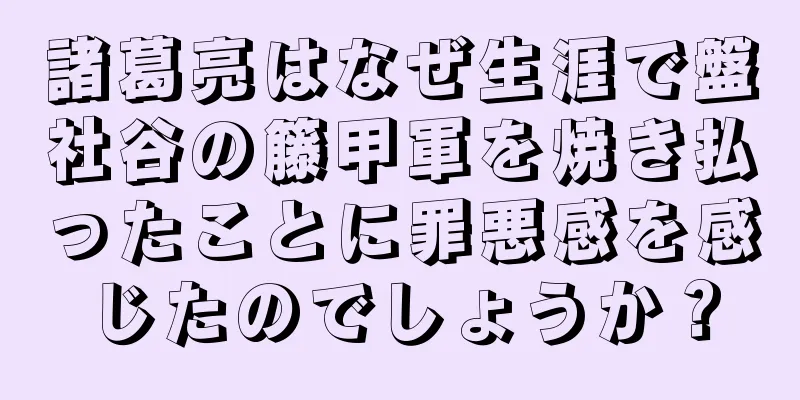 諸葛亮はなぜ生涯で盤社谷の籐甲軍を焼き払ったことに罪悪感を感じたのでしょうか？