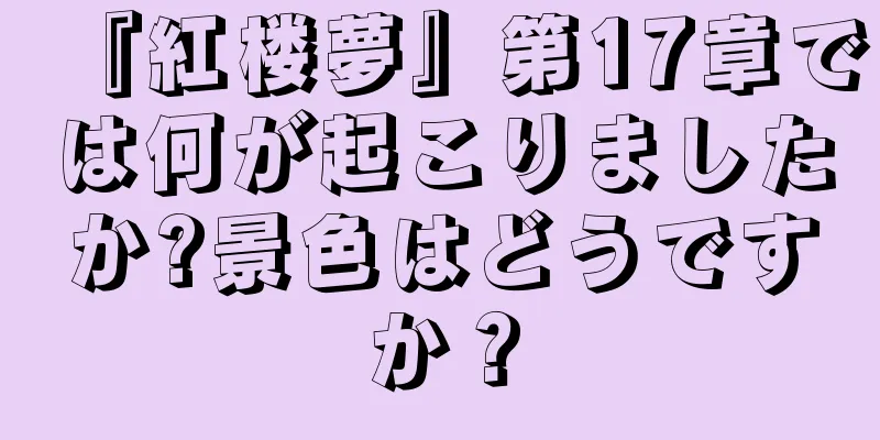 『紅楼夢』第17章では何が起こりましたか?景色はどうですか？