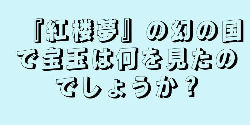 『紅楼夢』の幻の国で宝玉は何を見たのでしょうか？