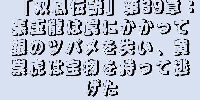 「双鳳伝説」第39章：張玉龍は罠にかかって銀のツバメを失い、黄崇虎は宝物を持って逃げた
