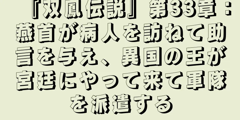 『双鳳伝説』第33章：燕首が病人を訪ねて助言を与え、異国の王が宮廷にやって来て軍隊を派遣する