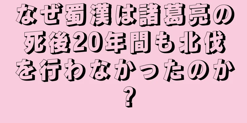なぜ蜀漢は諸葛亮の死後20年間も北伐を行わなかったのか？