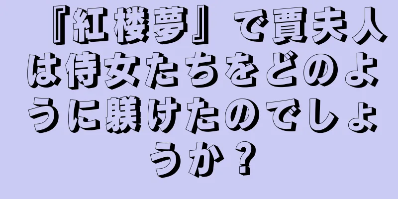 『紅楼夢』で賈夫人は侍女たちをどのように躾けたのでしょうか？
