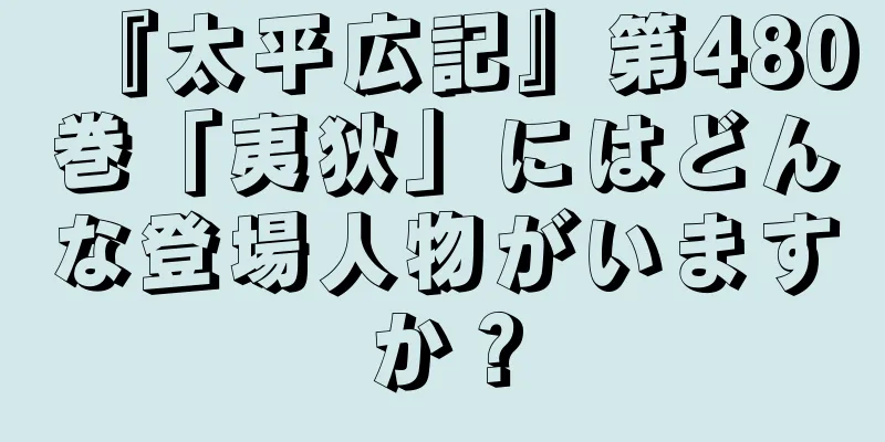 『太平広記』第480巻「夷狄」にはどんな登場人物がいますか？