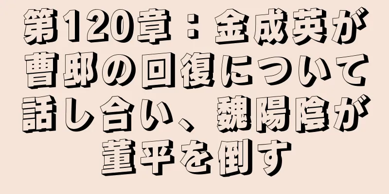 第120章：金成英が曹邸の回復について話し合い、魏陽陰が董平を倒す