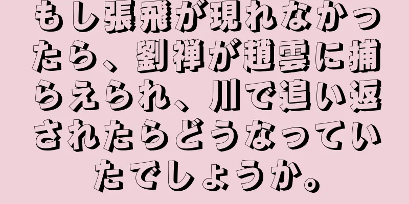 もし張飛が現れなかったら、劉禅が趙雲に捕らえられ、川で追い返されたらどうなっていたでしょうか。