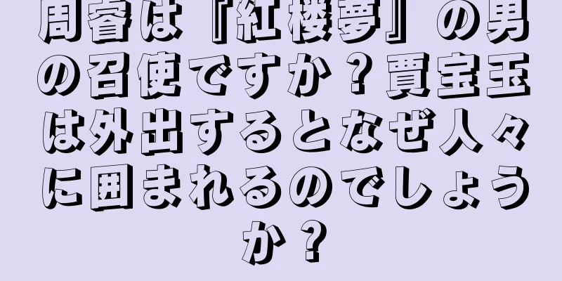 周睿は『紅楼夢』の男の召使ですか？賈宝玉は外出するとなぜ人々に囲まれるのでしょうか？