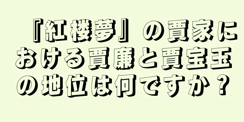 『紅楼夢』の賈家における賈廉と賈宝玉の地位は何ですか？