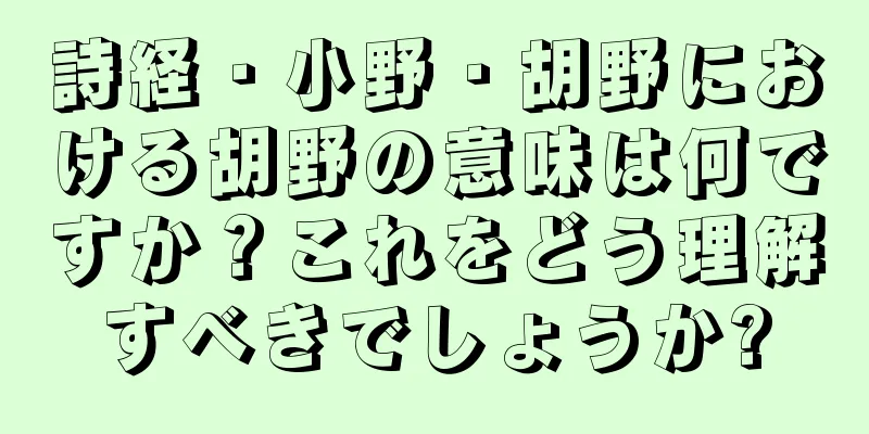 詩経・小野・胡野における胡野の意味は何ですか？これをどう理解すべきでしょうか?