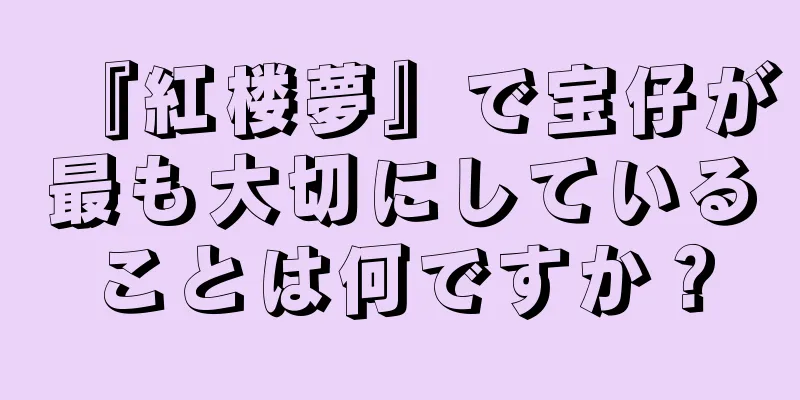 『紅楼夢』で宝仔が最も大切にしていることは何ですか？