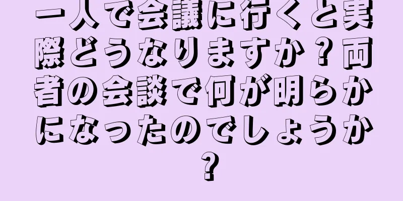 一人で会議に行くと実際どうなりますか？両者の会談で何が明らかになったのでしょうか？
