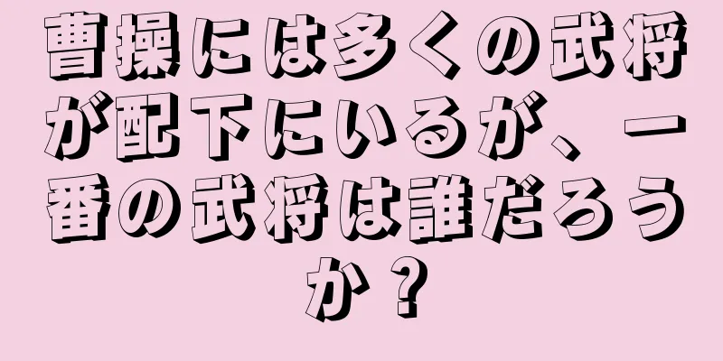 曹操には多くの武将が配下にいるが、一番の武将は誰だろうか？
