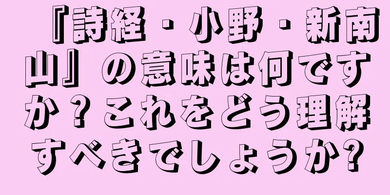 『詩経・小野・新南山』の意味は何ですか？これをどう理解すべきでしょうか?