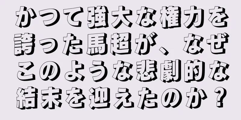 かつて強大な権力を誇った馬超が、なぜこのような悲劇的な結末を迎えたのか？