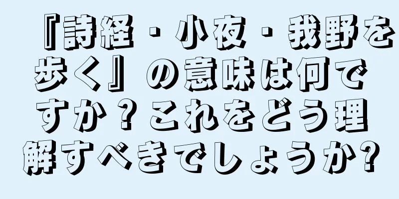 『詩経・小夜・我野を歩く』の意味は何ですか？これをどう理解すべきでしょうか?