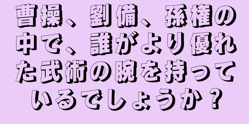 曹操、劉備、孫権の中で、誰がより優れた武術の腕を持っているでしょうか？