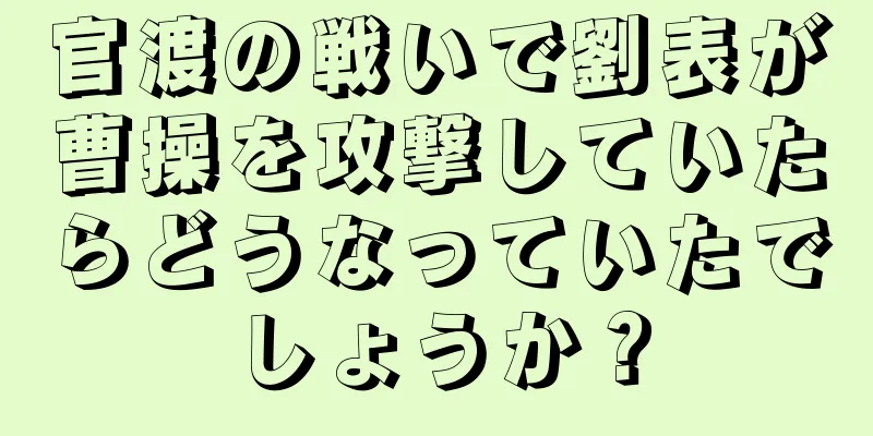 官渡の戦いで劉表が曹操を攻撃していたらどうなっていたでしょうか？