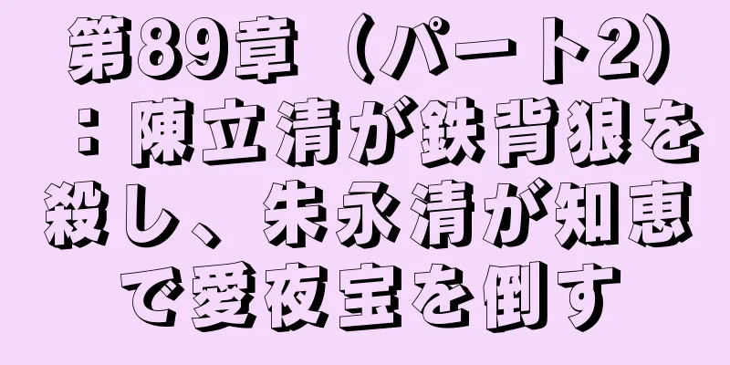 第89章（パート2）：陳立清が鉄背狼を殺し、朱永清が知恵で愛夜宝を倒す