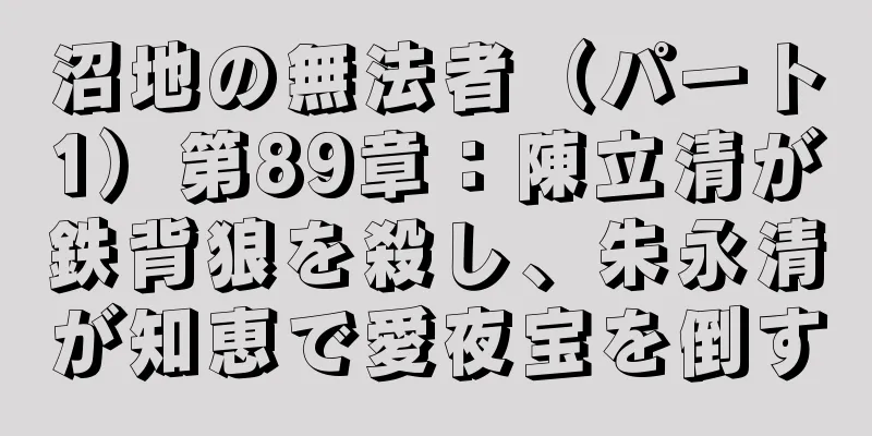 沼地の無法者（パート1）第89章：陳立清が鉄背狼を殺し、朱永清が知恵で愛夜宝を倒す