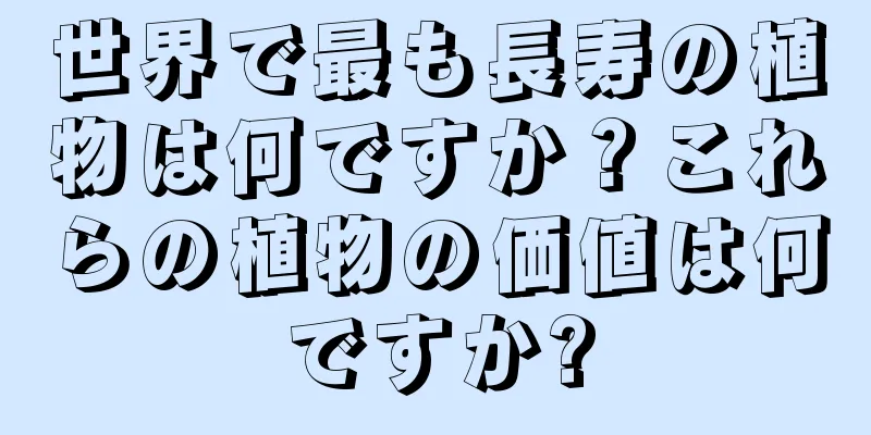 世界で最も長寿の植物は何ですか？これらの植物の価値は何ですか?