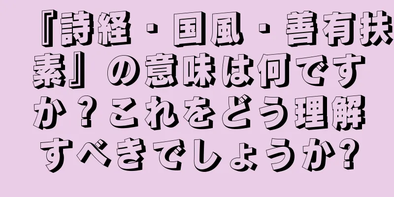 『詩経・国風・善有扶素』の意味は何ですか？これをどう理解すべきでしょうか?